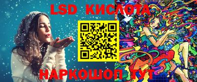 a pvp Новодвинск